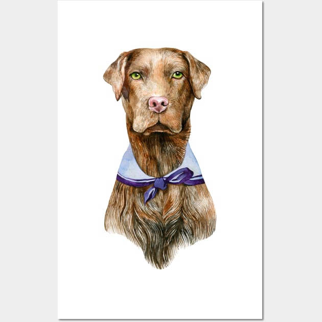 Chocolate lab Wall Art by argiropulo